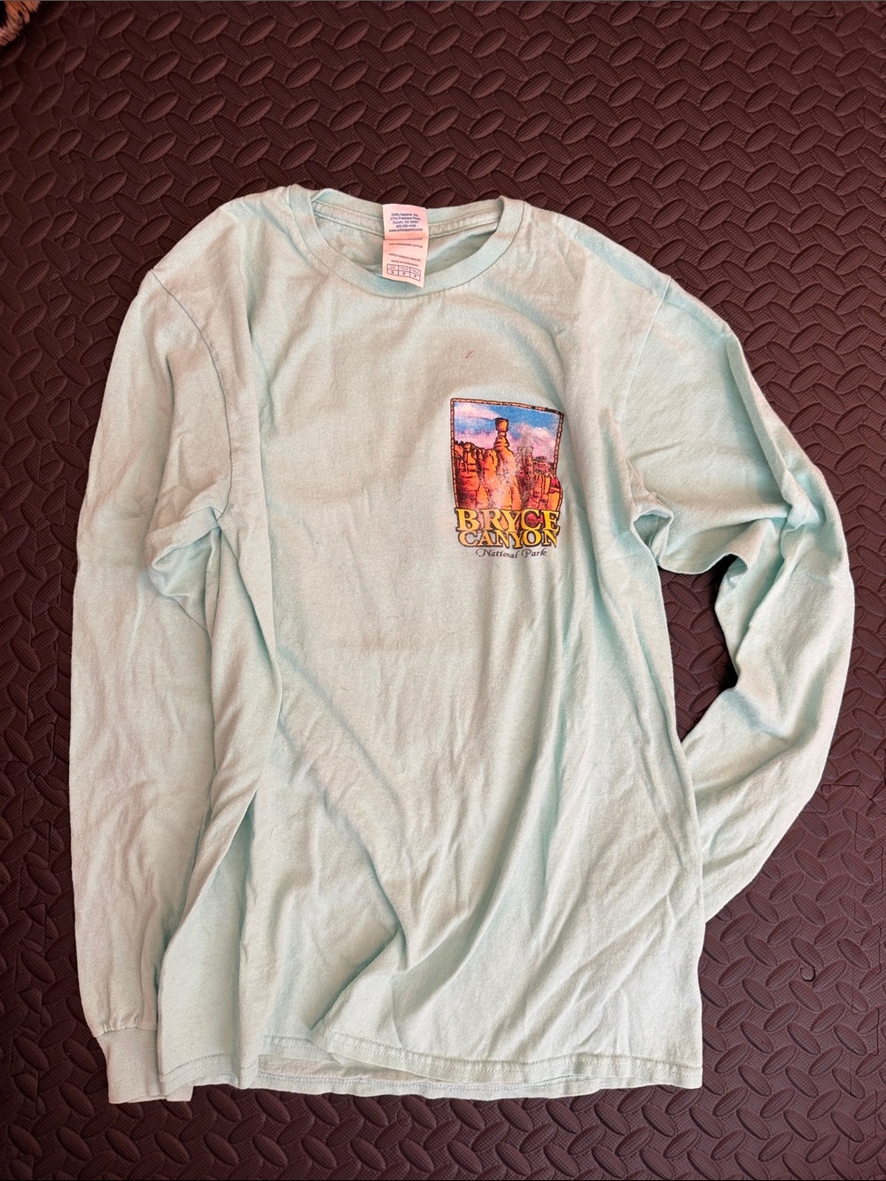 Bryce Canyon Graphic Tee in Light Teal